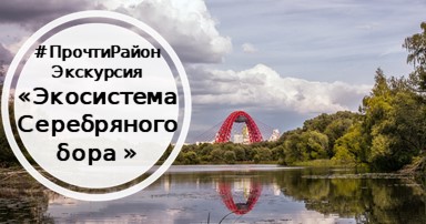 Бесплатная пешеходная экскурсия по Серебряному Бору пройдёт 19 июня