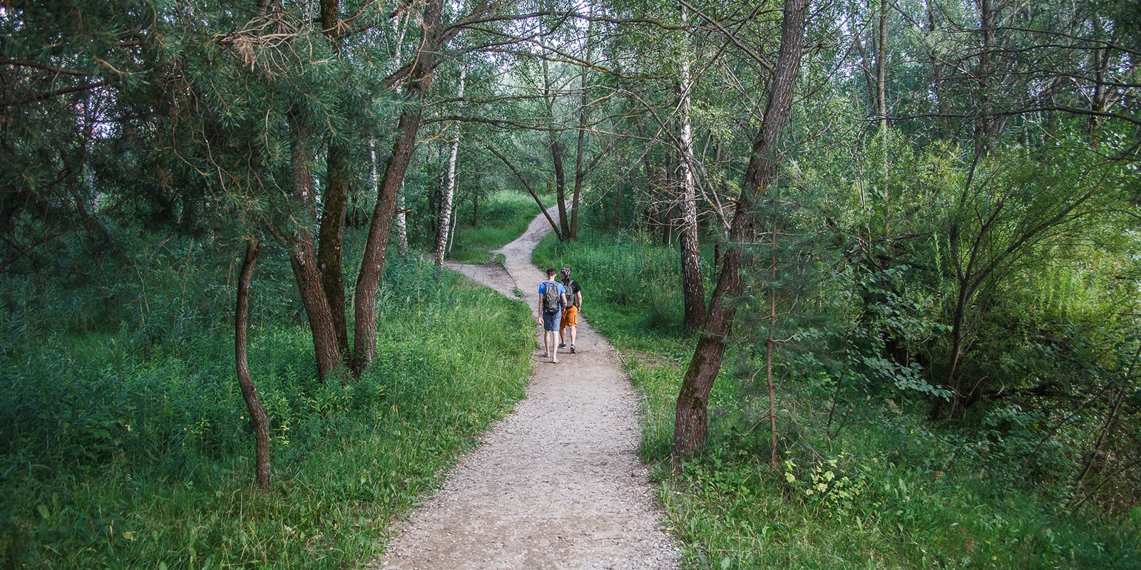 Экотропа в Серебряном бору признана одним из лучших мест для осенних прогулок